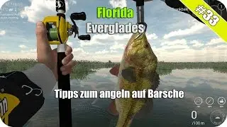 Fishing-Planet: Florida Everglades Barsche mit Wobbler (Augenflecken-Barsch) [#33]