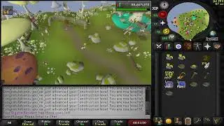 OSRS - BirdHouse Run - Hunter Training