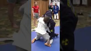 Олимпиец по дзюдо стал двуногим