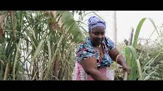 Dylala - M&atilde;e &Eacute; M&atilde;e | Official V&iacute;deo 2022