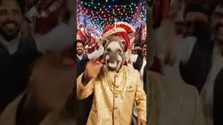 #animalvlogger #funny #comedyfilms
