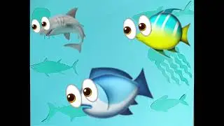 Ocean Zone Adaptations