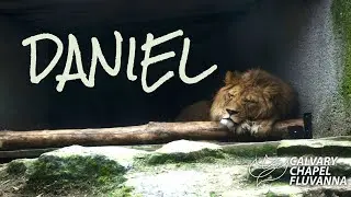 Calvary Chapel Fluvanna  - Daniel 7:1-28 - Pastor Steve Feden - Sept. 6th @ 11:00am