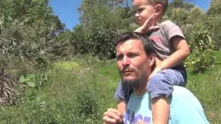 Fruit-based Veganic Permaculture on Maui Video with Jesse Krebs