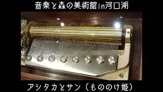 音楽と森の美術館　オルゴールショップ♪