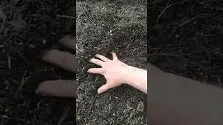 Wet Clay to Soil in Less Than a Year