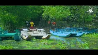 🚣&zwj;♂️✨ Explore the Tranquil Wonders of Kalametiya Bird Sanctuary! 🦜🌿