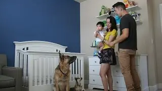 Time Lapse: Newborn to 1 Year in 80 Seconds. Photo a Day Baby