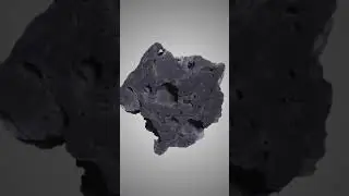 25 ноября 2021 г.