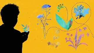 Ruha Benjamin - Viral Justice Book Trailer