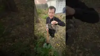 🔔Padre Adam Kotas🔔Contando Cada Una de las BEND1C1ONES✨💖⛪que D10S Nos Otorga✝️✨✝️