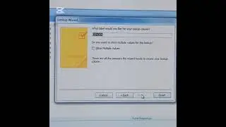 INPUT MASK and LOOKUP WIZARD | SIMPLIFIED DATA ENTRY