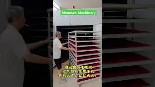 MNS-15P Chili Drying Room| Dryer (www.menasenmachinery.com)