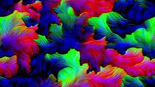 🌿 Green Leaf Visual &ndash; Python Generative Experiment