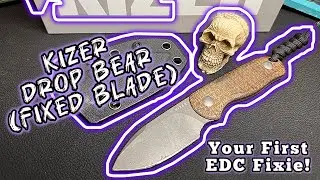 Kizer Drop Bear Fixed Blade | My Thoughts….