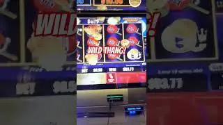 💥GIRL GONE WILD!💥 Autumn Moon @hardrocktampa #link #casino #bonus #slots