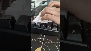 Stock Akko Lavender Purple Switch Sound Test | Freebird60