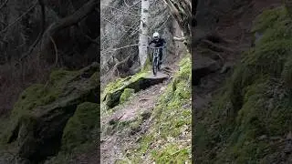 Mondraker Summum DH raw 😍#downhill #mtb #bike #mountainbike #downhillmtb #mondraker #downhilllife