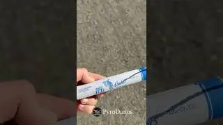 Funke Superb&ouml;ller 2 Tiger bomb 🐅