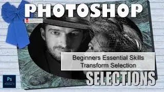 The Transform Selection Command:  Photoshop Beginners Essential Skills