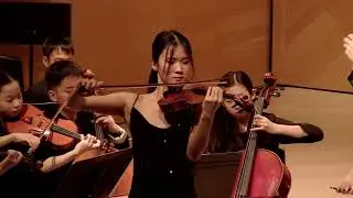VAM Amati Players 2025 Fall Concert