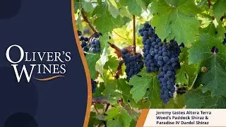 Jeremy and Doug Neal taste Altera Terra Wood's Paddock Shiraz 2021 & Paradise IV Dardel Shiraz 2017