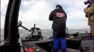 Erie Walleye's