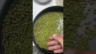 Argentina Green Mung Beans Feb'24 #beans #food #agriculture #corn #greenbean #greenbeans #mungbeans