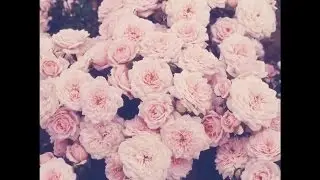 Joey Bada$$ Type Beat | roses | prod. by P.SOUL