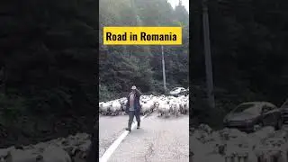 🇷🇴 Drogi w Rumunii - co was spotka 😃 | Roads in Romania  #shorts
