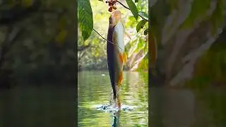 fish jumping in the sky #short #ai #motivation #vlog #us #uk