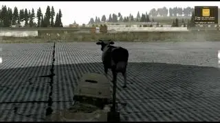 ARMA 2 ist eine realistische Milit&auml;rsimulation
