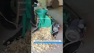 Turmeric Slicer #Papaya slicer #Sweet potato slicer #Lotus Roots Slicer Machine
