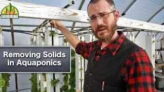Removing Solids in Aquaponics