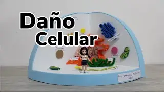Daño celular - tipos de lesión celular, muerte celular y sus tipos...