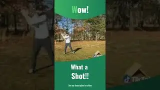 Wow! Don't Miss this Amazing Golf Shot! ⛳️🏌🏾#golf #shorts