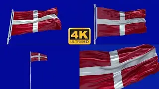 Sovereign Military Order of Malta flag blue screen 4k