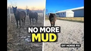 No Mud or Slipping-DIY Horse Pasture Upgrade