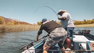 Exploring and Fishing Lake Skinner | Catching Catfish