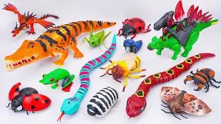 ZURU ROBO ALIVE COLLECTION | UNBOXING Robo T- Rex Dinosaur, Robo Snake , Robo Fly Dragon | ASMR