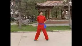 Taolu de Wu Bin niveau 2