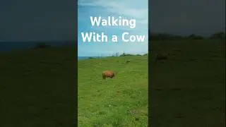 Field Walking | Enjoy the field mood. #field #travel