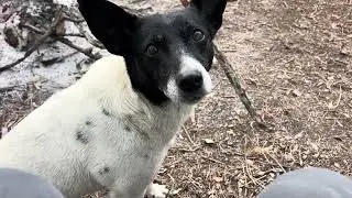 Para mí esto fue un pequeño sueño alcanzado 