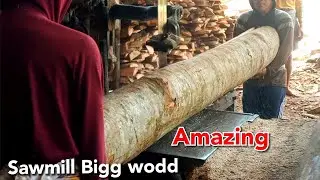 against machine limits, professional operators process large, long logs, modern sawmill machines