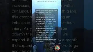 The First Rule of Scuba Diving