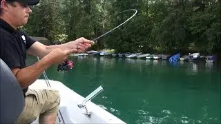 Der Fuschlsee - Auf Renke und Hecht