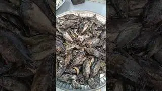 গোপারপুর বাজার সাবস্ক্রাইব করুন। Robin vlogs #fish market #viral video 