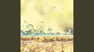 Bright Music for Relaxation