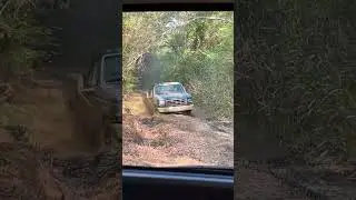 7.3 idi bouncing thru the trails #diesel #turbo #offroad