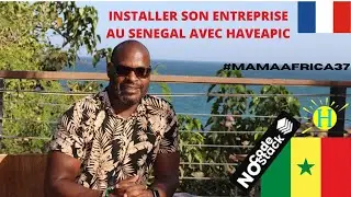 Installer son entreprise au S&eacute;n&eacute;gal avec Haveapic (t&eacute;moignage No Code Stack) S&eacute;n&eacute;gal 2023 #38